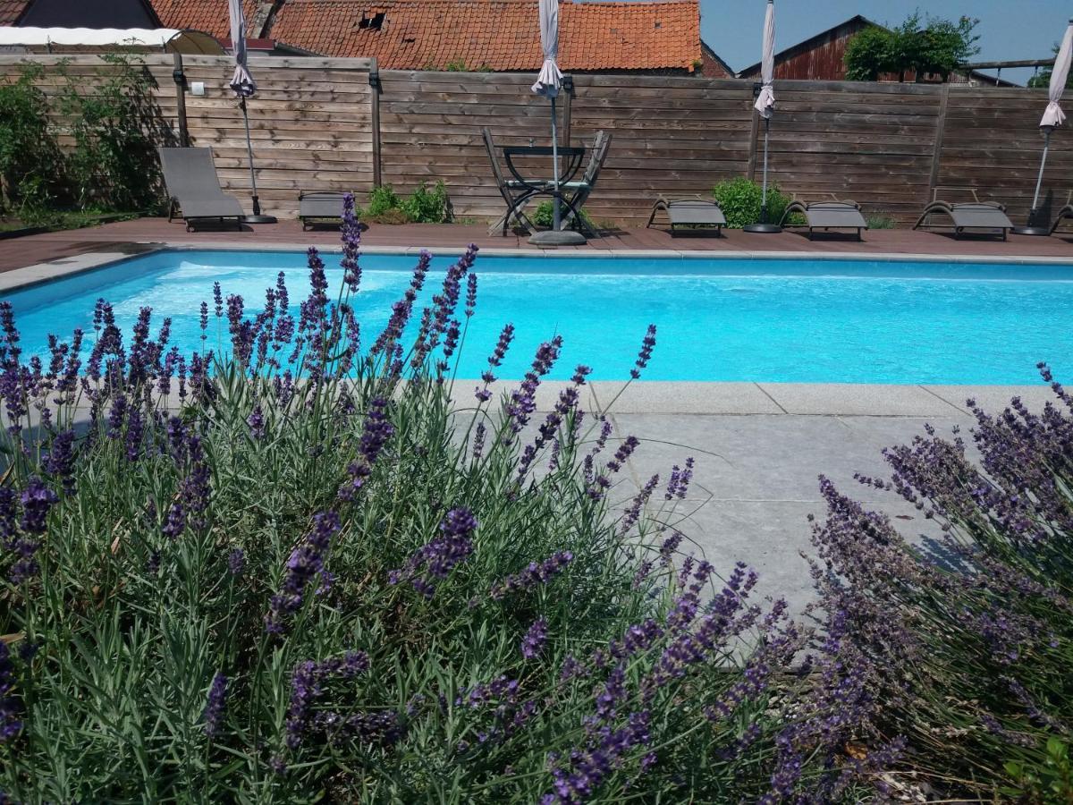 Chambres D Hotes ,Hotel ,Secret D'Une Nuit A Vicq Pres De Onnaing,Avec Piscine Vicq (Nord) Exterior foto